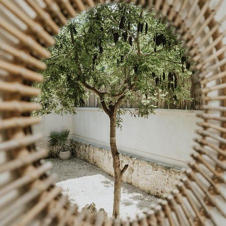 Casa Chimi Tulum Bed & Breakfast エクステリア 写真