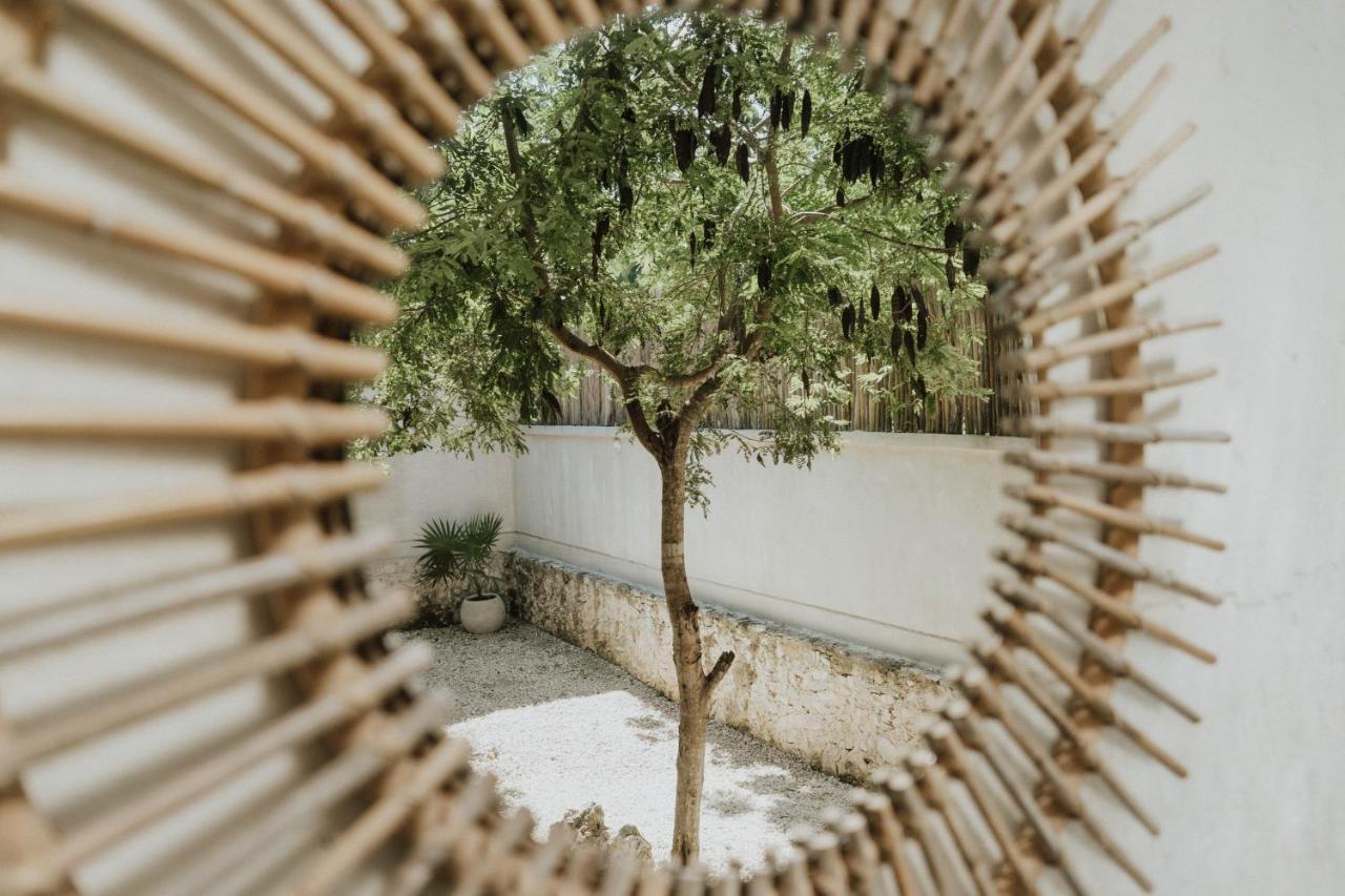 Casa Chimi Tulum Bed & Breakfast エクステリア 写真